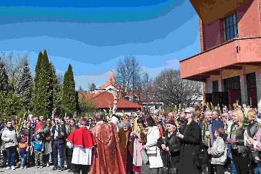 Niedziela Palmowa 2025_23