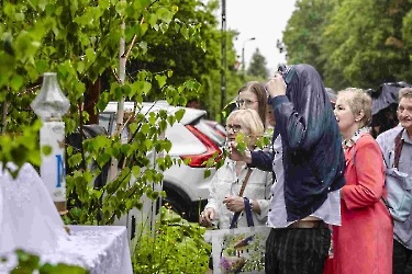 Boże Ciało 2025_443