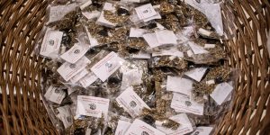 06.01.2026 – Objawienie Pańskie